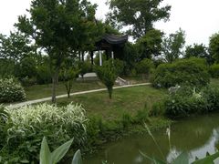 -鹅湖玫瑰文化园