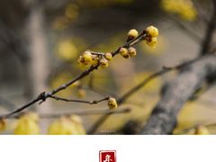 -山东师范大学(千佛山校区)