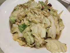-邵年鸽(杨庄店)