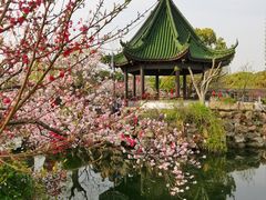 -无锡蠡湖国家湿地公园-蠡园
