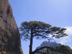 -黄山风景区