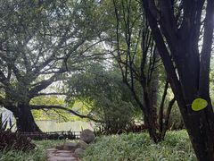 -晓港公园