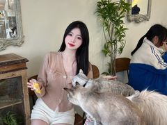 -共舞时光猫咖·狗咖(新街口店)