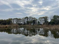 -西湖风景区-江洋畈生态公园