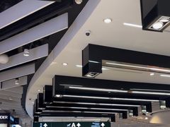 -米兰马尔彭萨国际机场