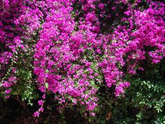 -云南师范大学(一二一西南联大校区)