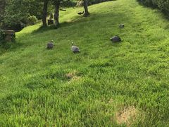 -霍比特人村