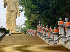 -西双版纳勐泐文化旅游区