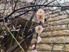 -草庵摩尼教遗址公园