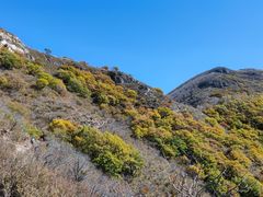 -灵山