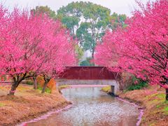 -花开海上生态园