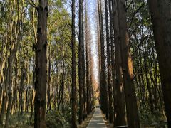 -同里国家湿地公园