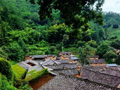 -杨家堂村