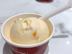 哈密瓜球-哈根达斯(SM店)