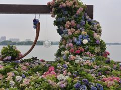 -无锡蠡湖国家湿地公园-蠡园