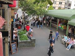 -同乐酒楼(皇后镇店)