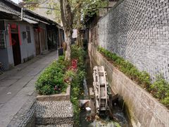-黄三汤圆