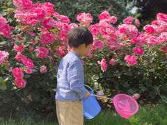 -杭州城北体育公园