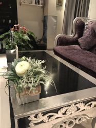 点击看大图 -薇薇安花系SPA