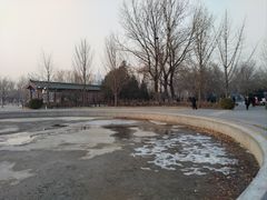 -莲花池公园