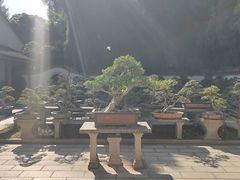 -西湖公园(鼓楼区)
