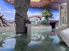 -延庆地质公园博物馆