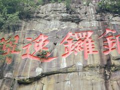 -铁山坪森林公园