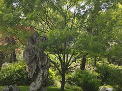 -上海醉白池公园