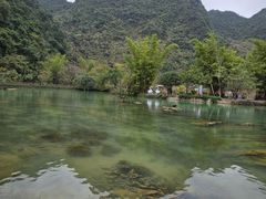 -靖西鹅泉风景区