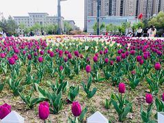 -长春公园(普阳街道)