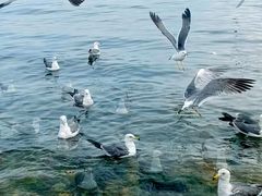-银沙滩浴场