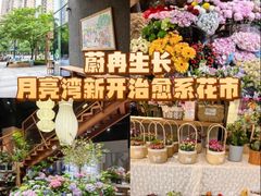 -瑞虹新天地月亮湾
