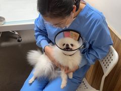 -御宝贝24h宠物医院·转诊中心·CT核磁血透中心(厦门总院)