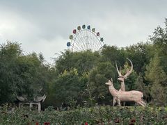 -红山公园