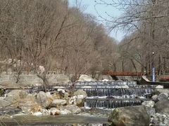 -陕西省红河谷森林公园