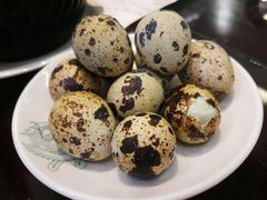 盐焗鹌鹑蛋-民信老铺(华盖路店)