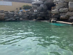 -仁爱团泊湖温泉中心