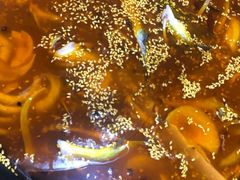 -小小河边鱼·黄辣丁鲜鱼锅(黎阳店)