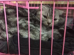 -参差咖啡(水果湖公园店)