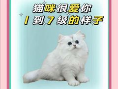 -美联众合动物医院·24h转诊中心