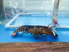 -龙达温泉生态城