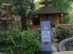 -黄山温泉国际旅游度假区