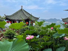 -枇杷园食为鲜火锅(南山店)