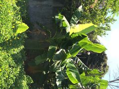 iphone_upload_pic-南丫岛
