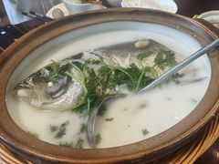-南山竹海·珍味堂