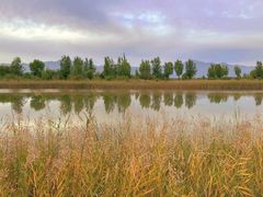 -野鸭湖国家湿地公园