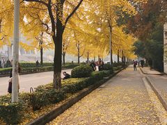 -四川大学(华西校区)