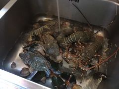 -拉威海鲜市场