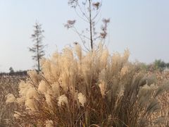 -迪士尼小镇
