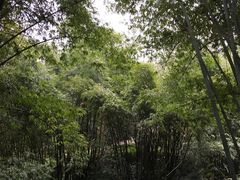 -凤栖山